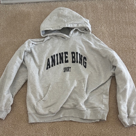 Anine Bing Sport Light Gray Hoodie - Picture 1 of 3